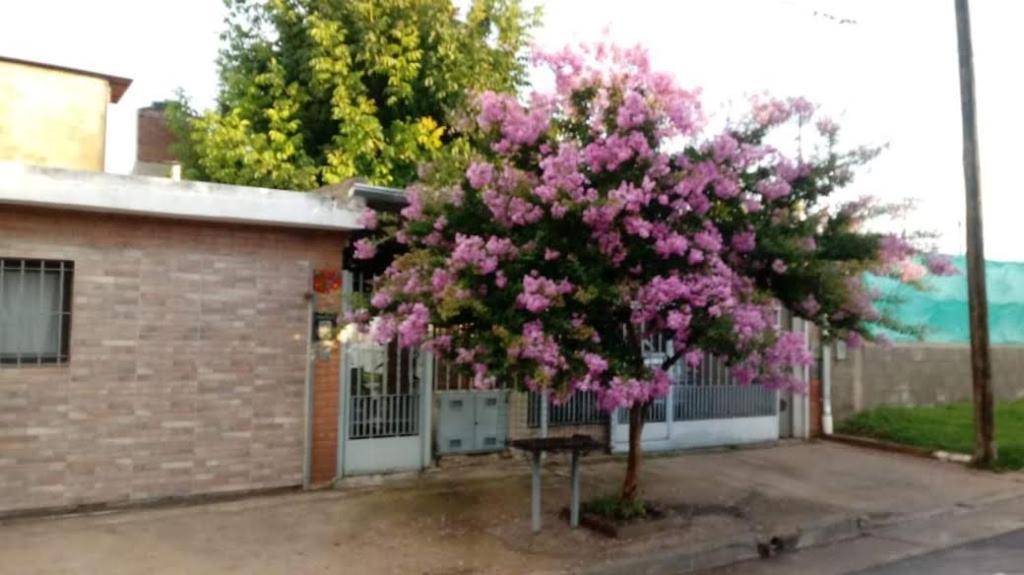 Departamento El Nogal * Alta Gracia